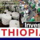 Korean companies keen to invest in Ethiopian textile industry