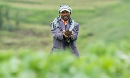 Ethiopian farmers made a desert bloom again