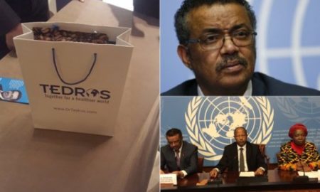 dr. tedros adhanom foreign Minister ethiopia