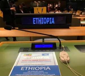 Ethiopia Begins UN Security Council Term