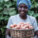 Mastercard Foundation Africa Rural Agricultural Finance