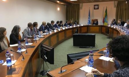 PM Hailemariam UN Security Council
