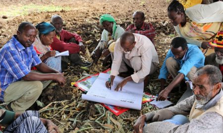Certified organic Ethiopian cotton farmersCertified organic Ethiopian cotton farmers