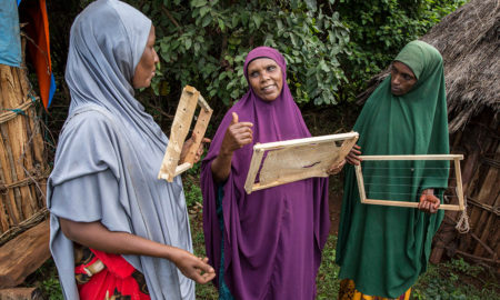 Women entrepreneur ethiopia